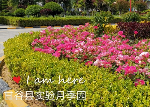 西寧園林綠化